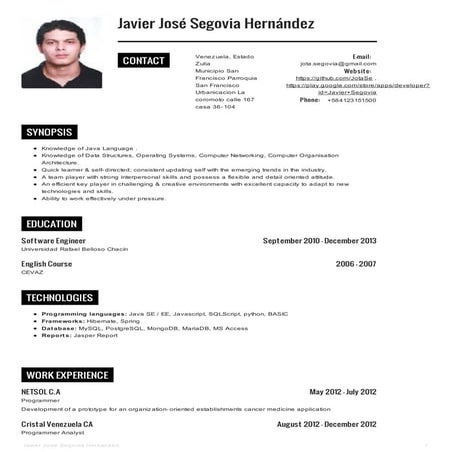 Curriculum javier segovia english version