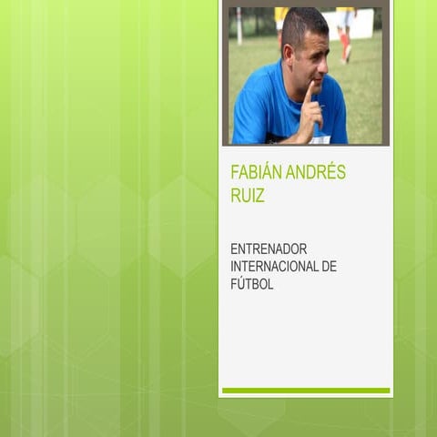 Curriculum Fabian Andres Ruiz