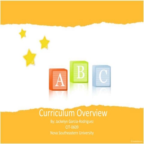 Curriculum Overview