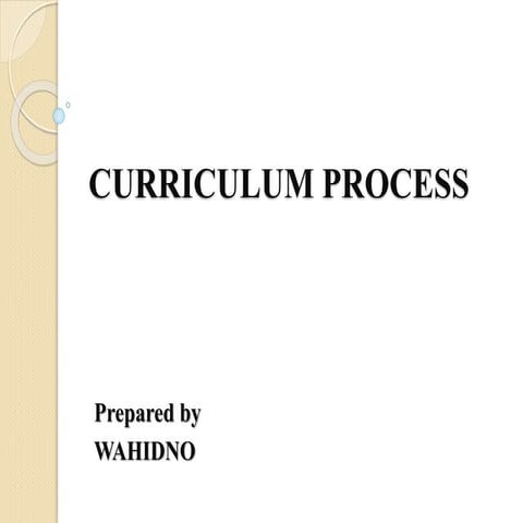 Curriculum process 