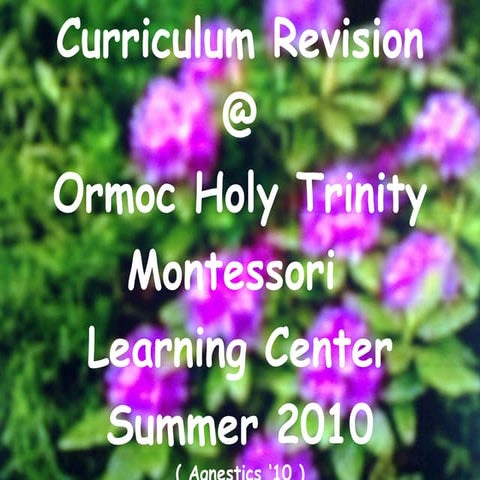 Curriculum revision