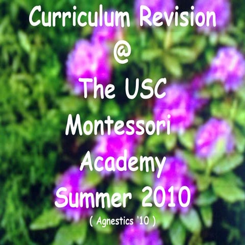Curriculum revision