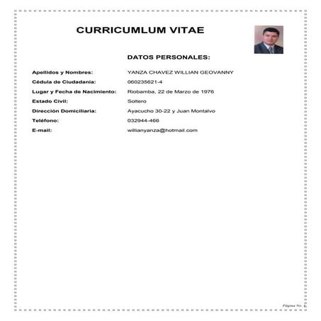 Curriculum Vitae
