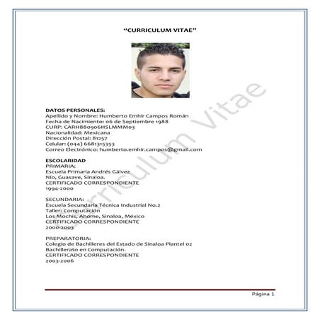 Curriculum vitae