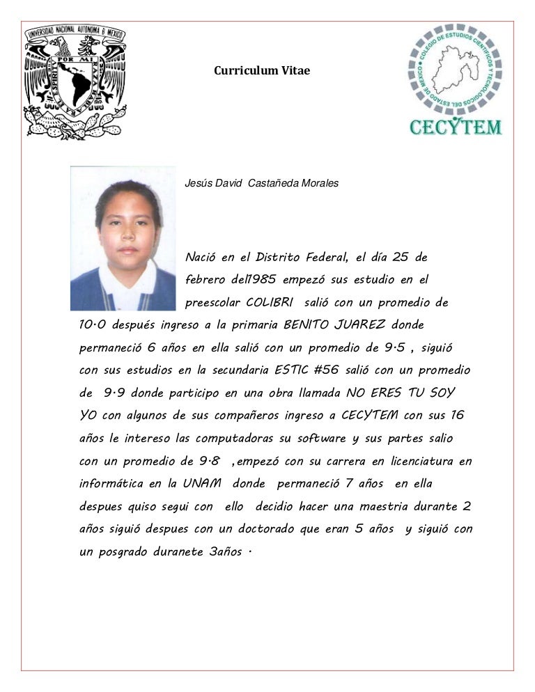 Formato curriculum vitae profesional word image