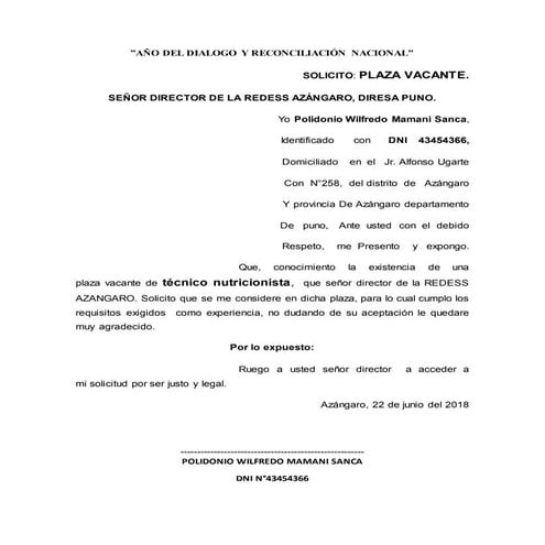 Curriculum vitae redess azangaro - copia | DOCX