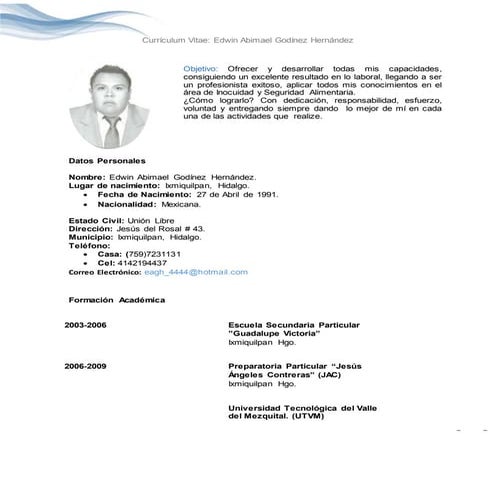 MODELO DE CURRICULUM VITAE | DOCX