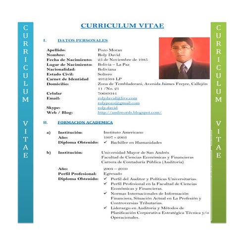 Curriculum vitae 2013 personal