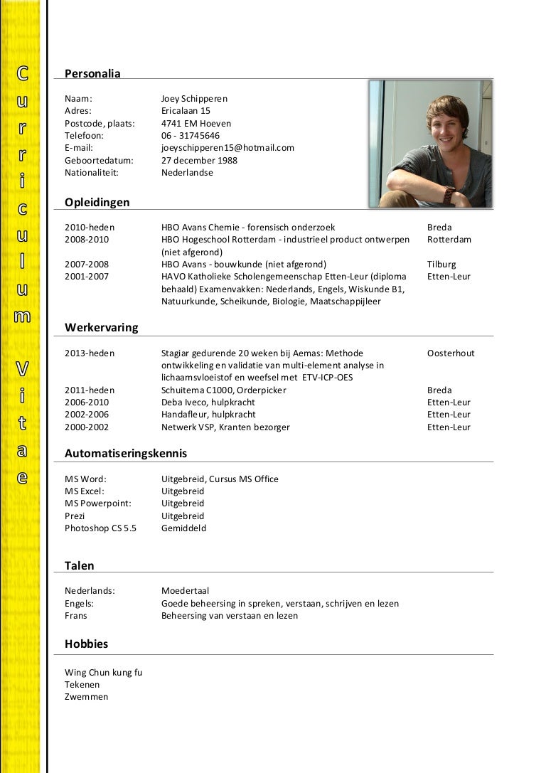 Curriculum vitae samples picture