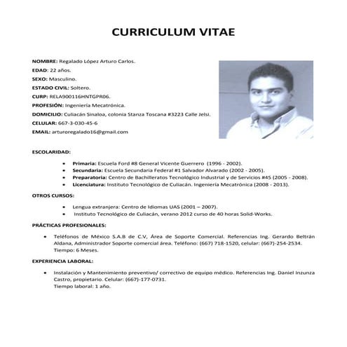 Curriculum vitae arturo regalado