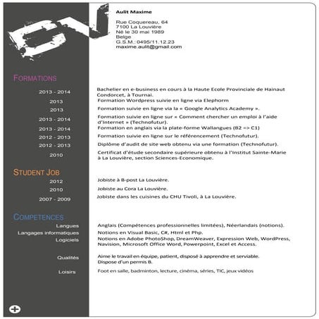 Curriculum vitae aulit maxime