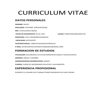 Curriculum vitae blog