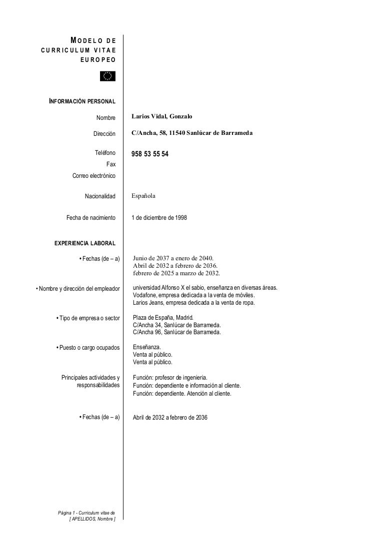 Curriculum vitae examples pdf picture