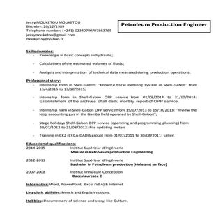 Curriculum vitae in english of  mou...