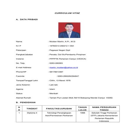 Curriculum vitae muldan_martin_mpp_vedca