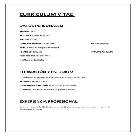 Curriculum vitae para blog