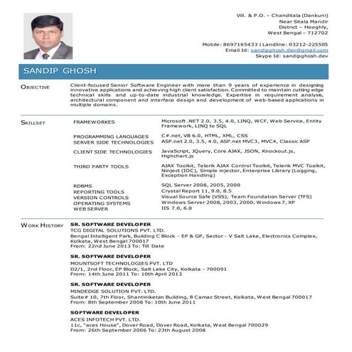 Curriculum vitae updated