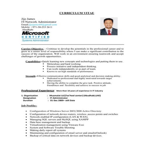Curriculum vitae updated