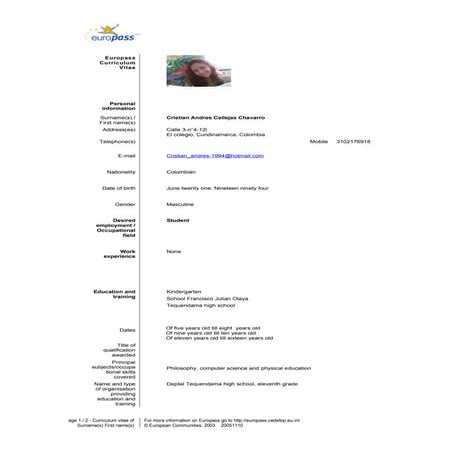 Curriculum vitae xndresz