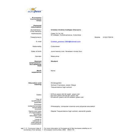 Curriculum vitae xndresz