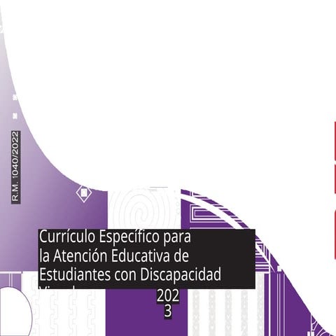 Triptico-NEE.docx