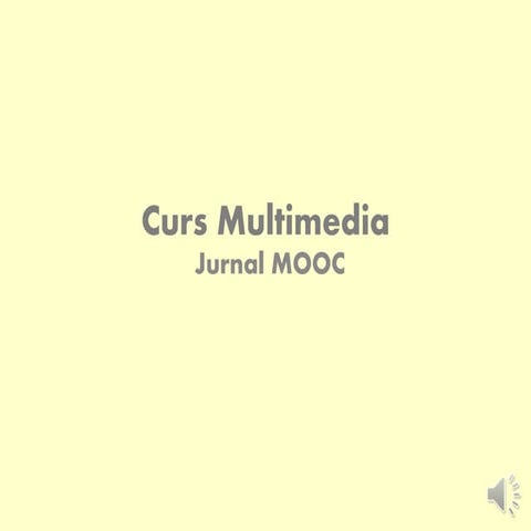 Curs multimedia