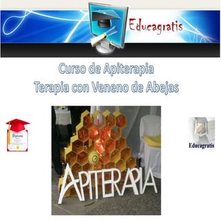 Curso de Apiterapia - La Terapia co...