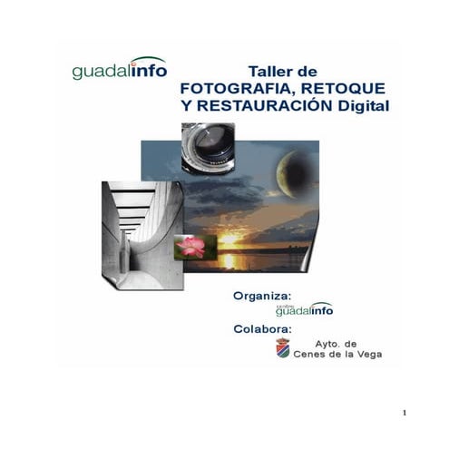 Curso Practico de Gimp