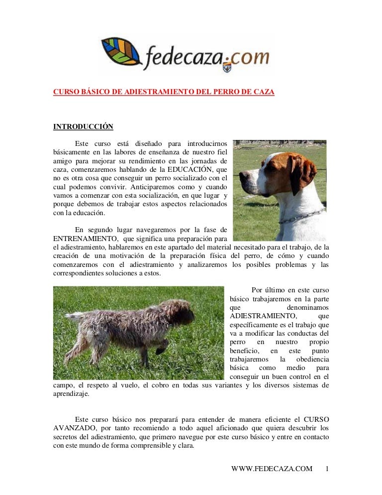 Adiestramiento De Perros De Caza