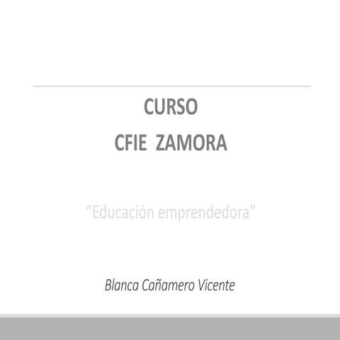 Curso cfie zamora