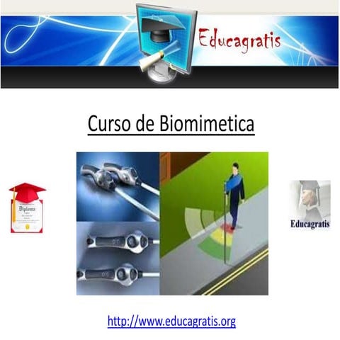 Curso de biomimetica