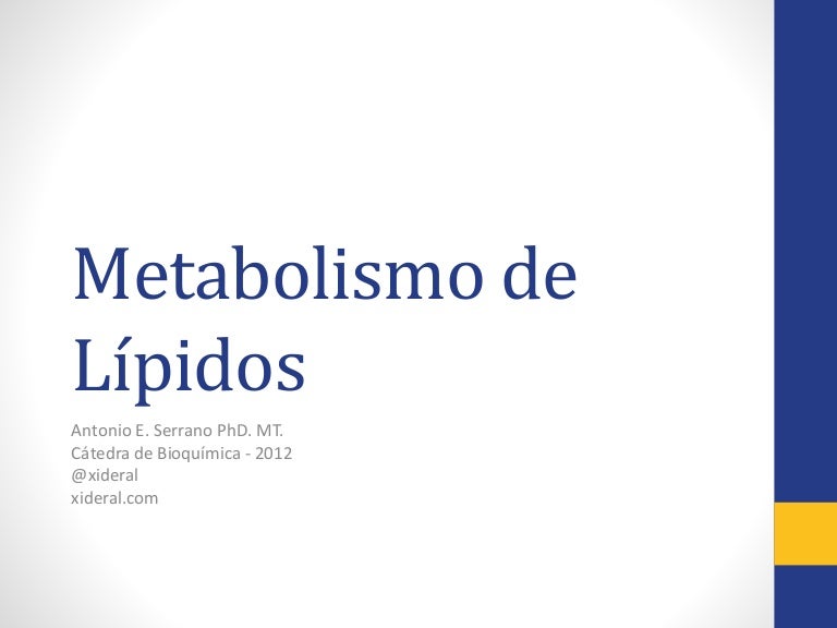 Las ideas acerca de metabolismo glucogeno