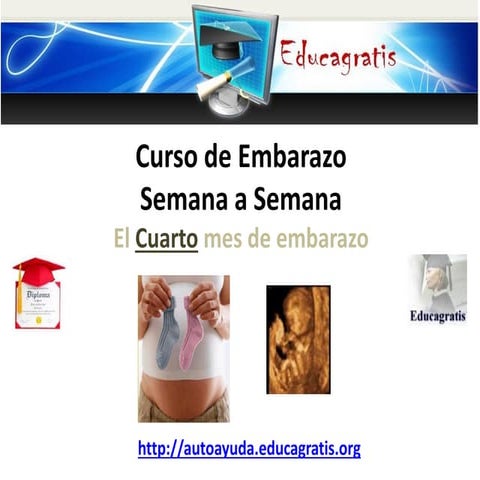 Curso de embarazo semana a semana - Cuarto mes