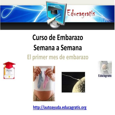 Curso de embarazo semana a semana - Primer mes
