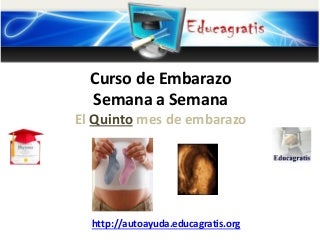 Curso de embarazo semana a semana - Quinto mes