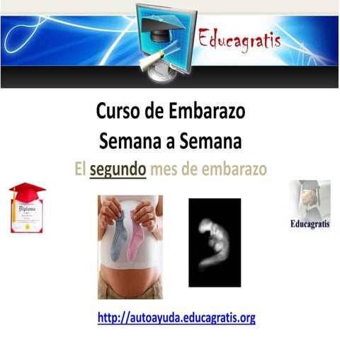 Curso de embarazo semana a semana - Segundo mes