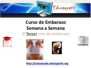 Curso de embarazo semana a semana - Tercer mes