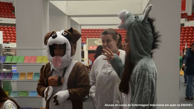 Curso de Enfermagem Veterinária alerta para cuidados com animais