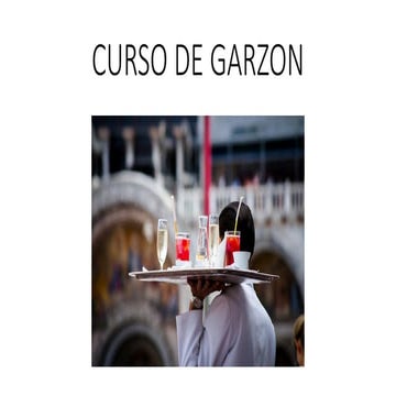 CURSO DE GARZON.pptx curso de servicio..