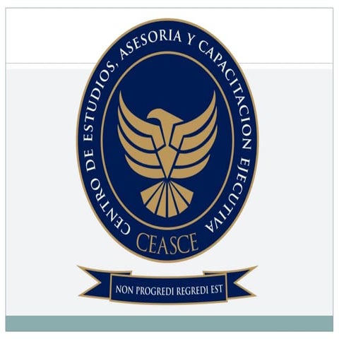 Curso de merchandising de gestión