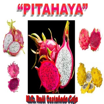 Curso de pitahaya 2020