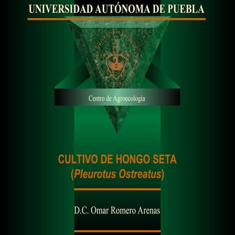 CURSO HONGO SETA, ESTRATEGIA PARA USO DE RESIDUOS AGRICOLAS.ppt