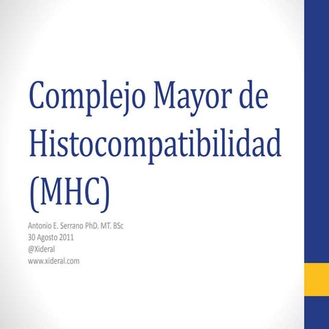Curso Inmunologia 08 MHC
