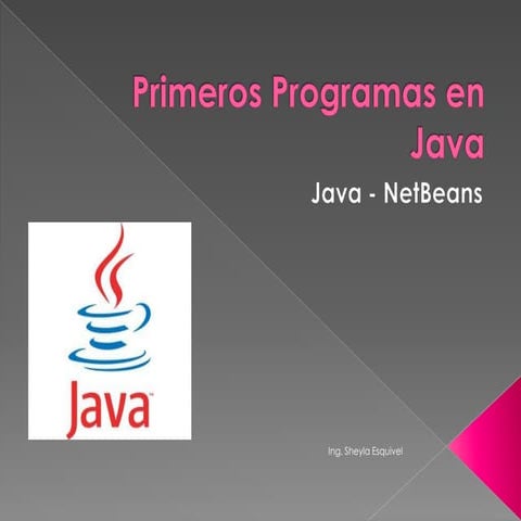 Captura de datos y mensajes Interfaz - JAVA | PPTX