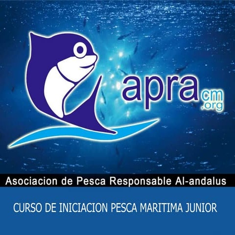 Curso junior colegio