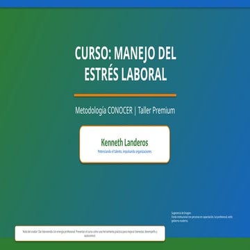Curso Autocuidado y Manejo Del Estres Laboral | PDF