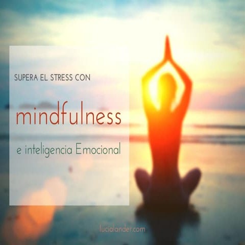Curso Supera el Estres con Mindfulness e Inteligencia Emocional