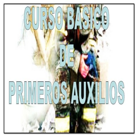 curso sta ana jean PRIMEROS AUXILIOS BASICOS