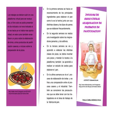 FOLLETO CURSO VIRTUAL