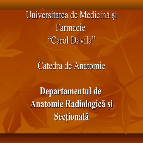 Curs r a,an ll,sem.l edit